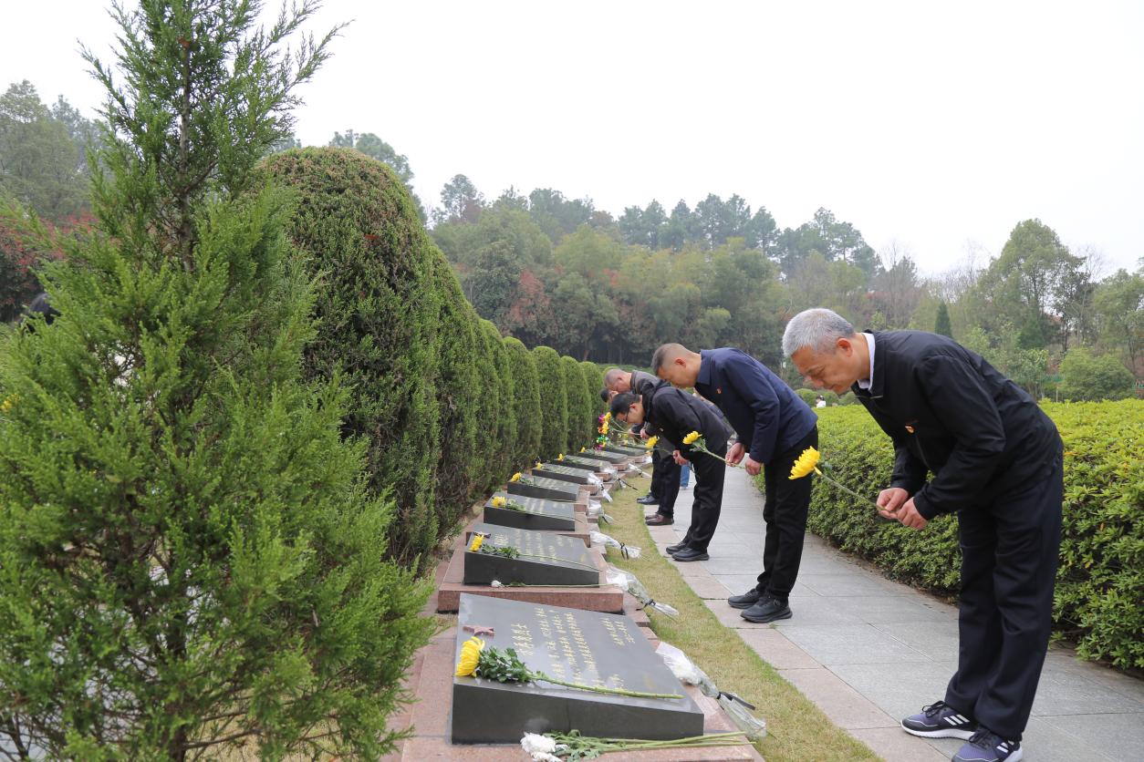 d24128bb40e8f3f0ad2e513226ca7a93