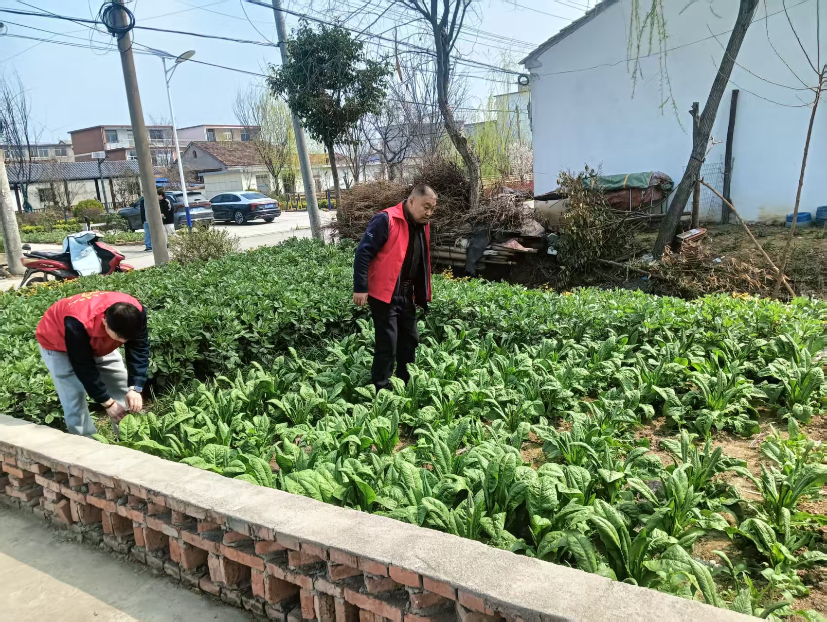 微信图片_20260325113640_1024_5