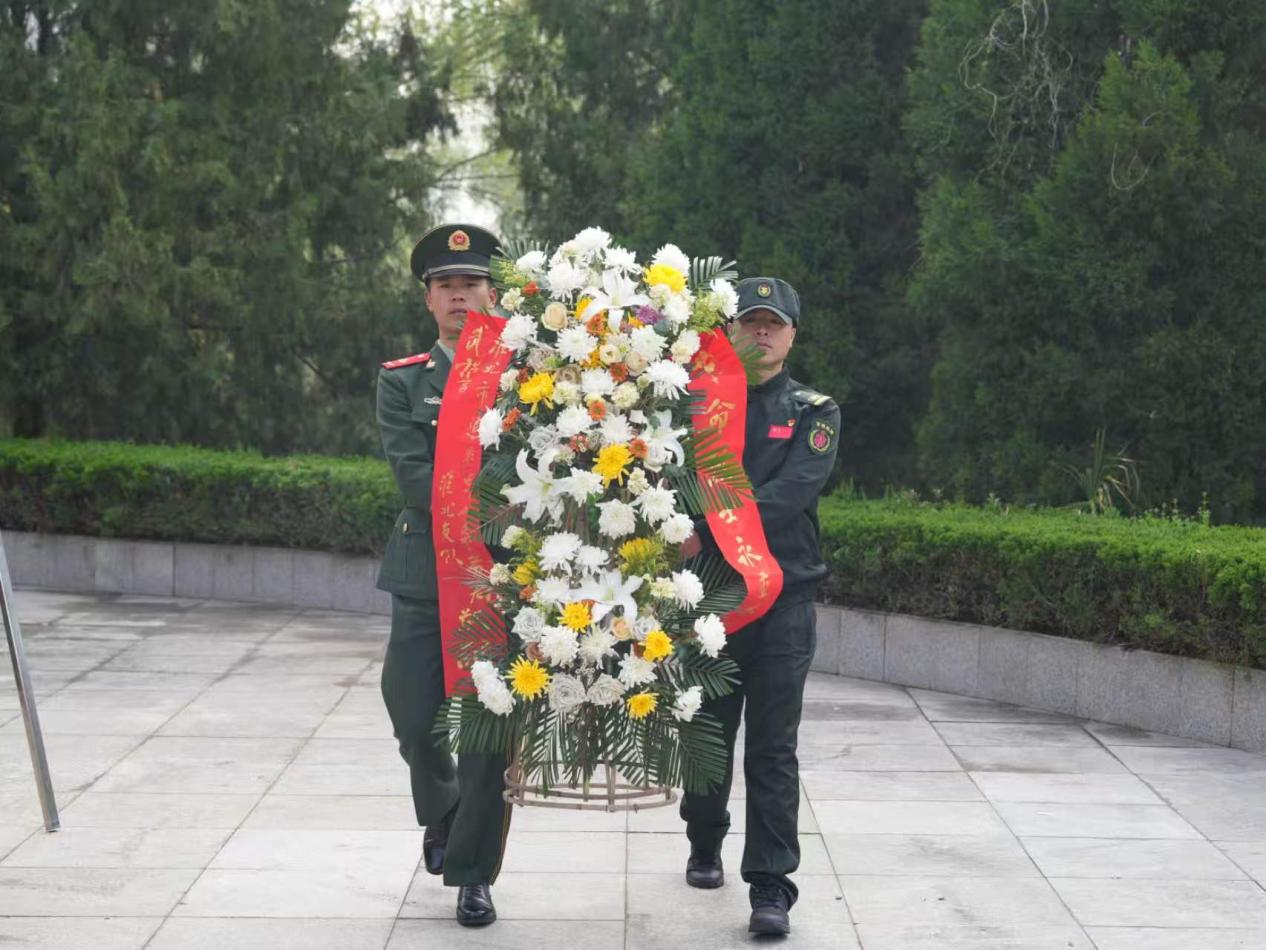 b8c9e080a94a202c8ea8c04311485ade