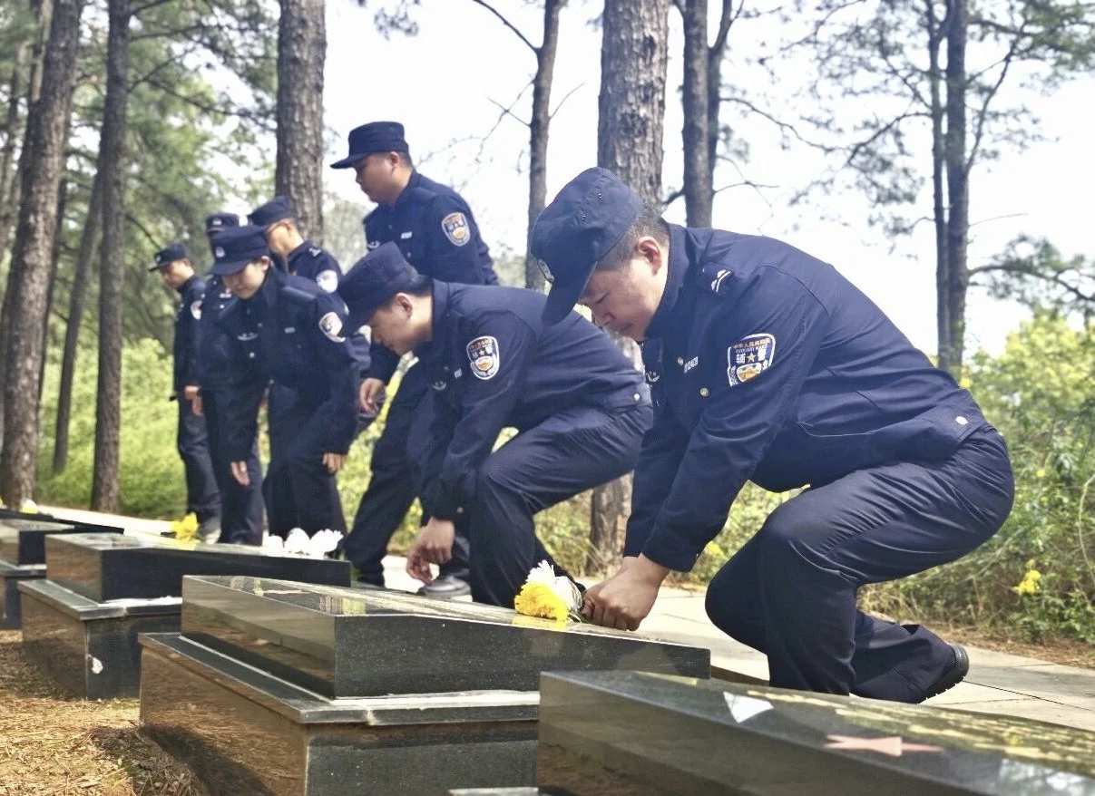 92ee8f4ec78c16df9e28ff837f74356c