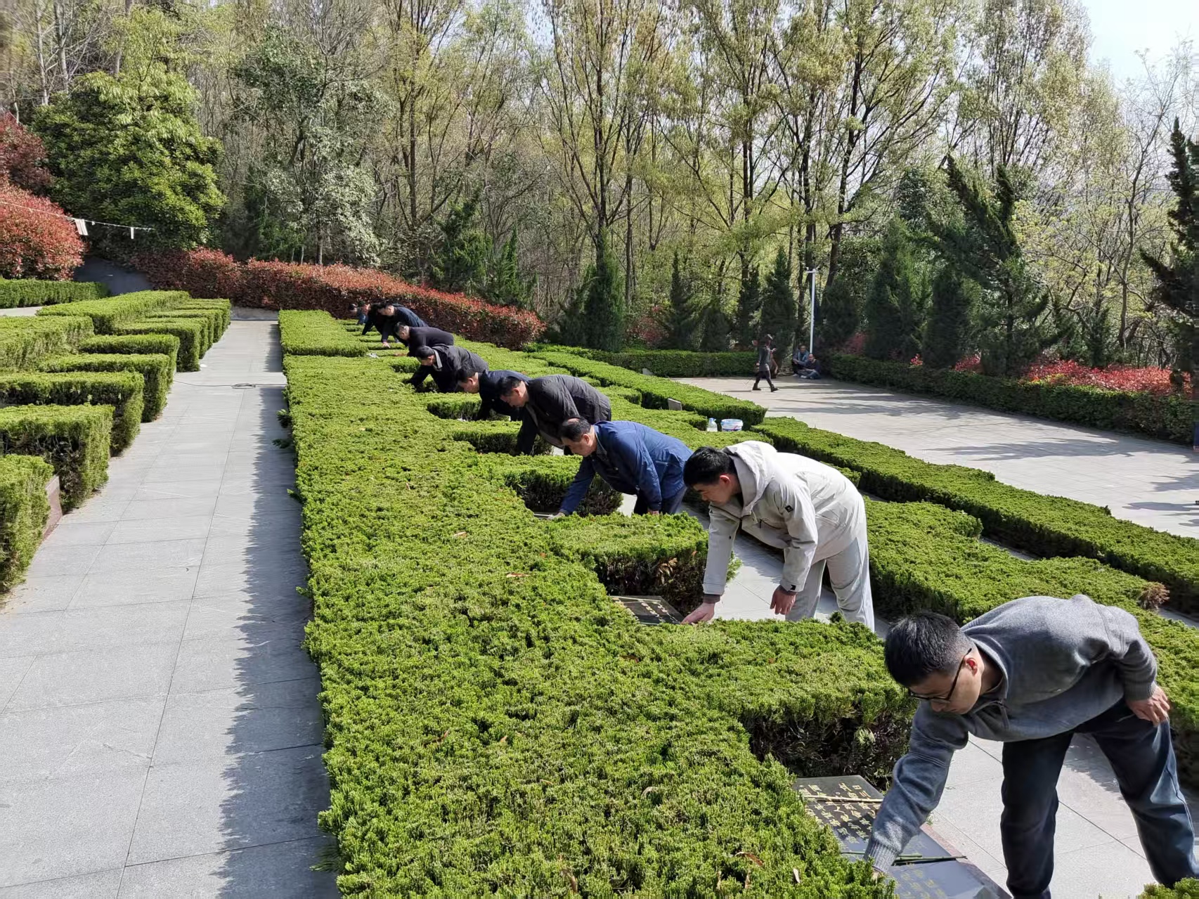 ac5c05d08b6ef4badd4754b5bf3b13e3