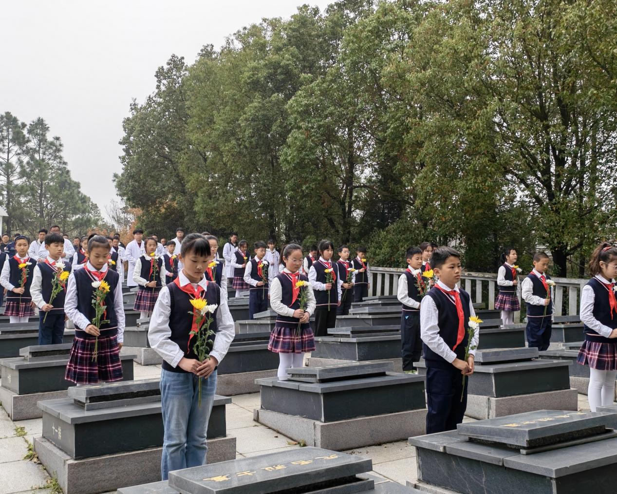 0b8e80951cc5476885d52f255a9b9ca5