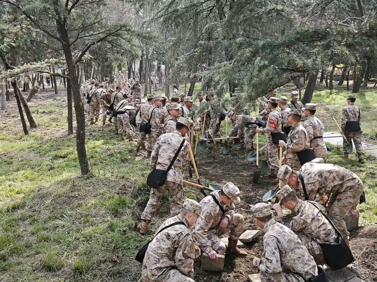 450aad7a79fc1cc6621b1dea624897af