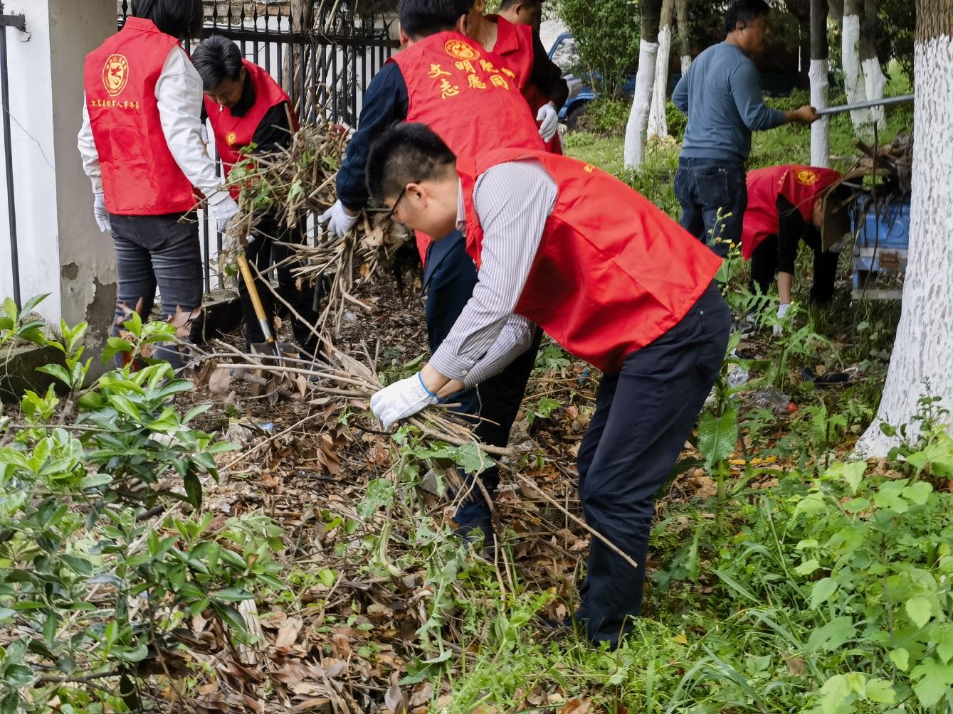 fa961a7c213deac972a507698c6823c3