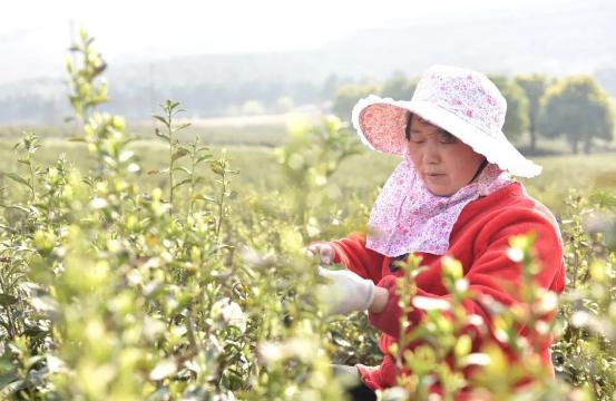 微信图片_20230320090951