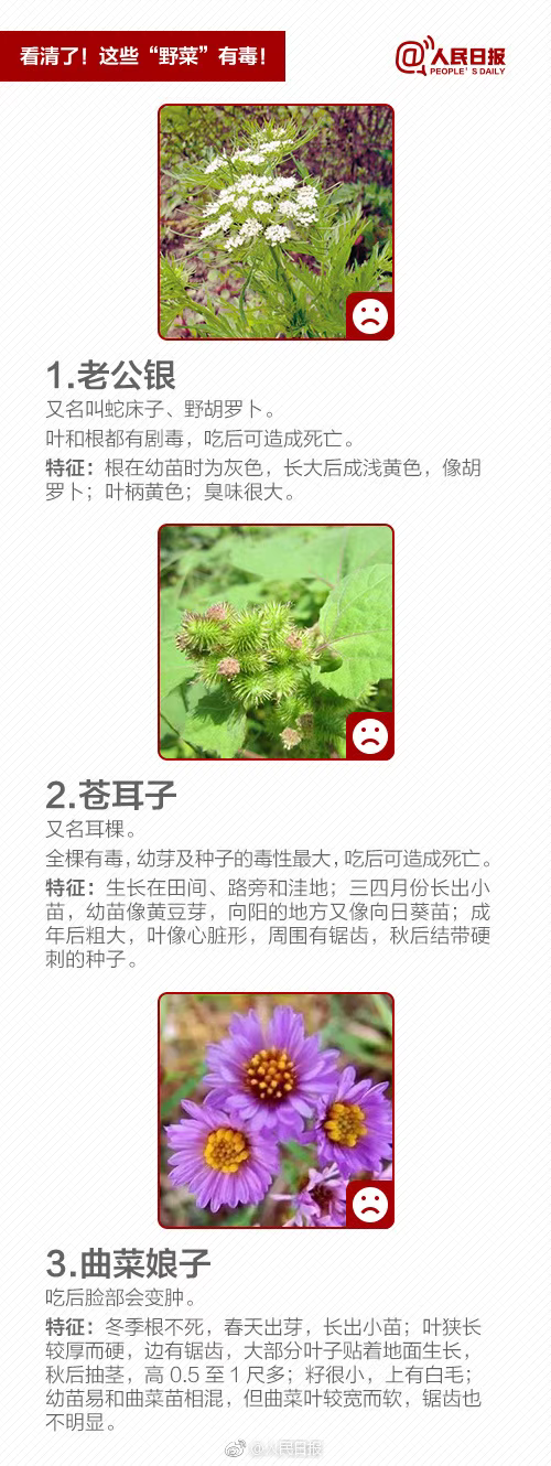 多地提醒：这些东西别乱食