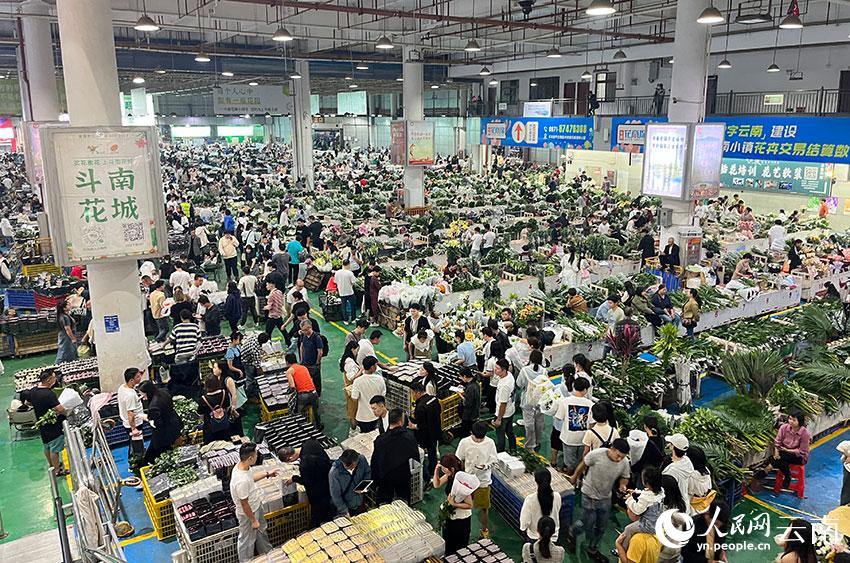 “行进中国”调研行品牌云南丨“鲜花经济”的“美丽密码”人民网“行进中国”云南调研采访团(图2)