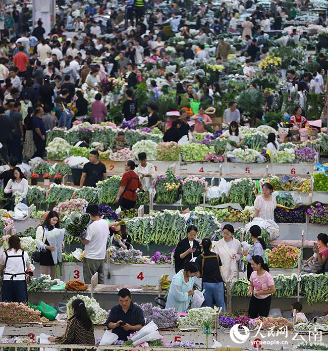 “行进中国”调研行品牌云南丨“鲜花经济”的“美丽密码”人民网“行进中国”云南调研采访团(图5)