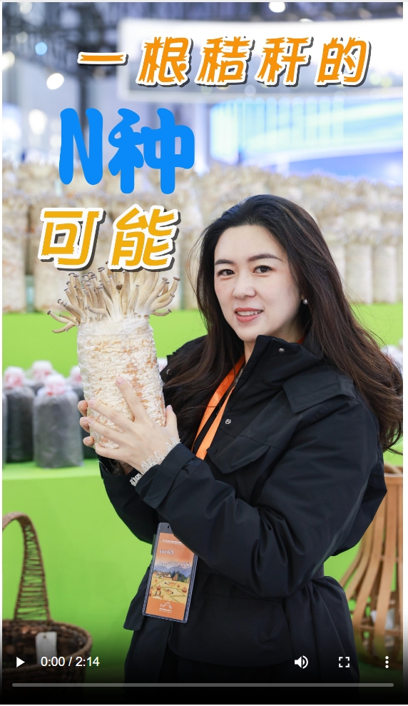 必赢探馆2024安徽“两利用”博览会：“秸”尽所能变“废”为宝(图1)