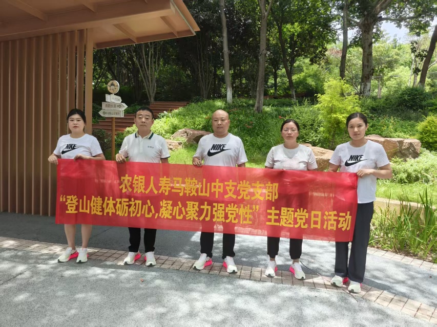 马鞍山中心支公司党支部开展主题党日活动1