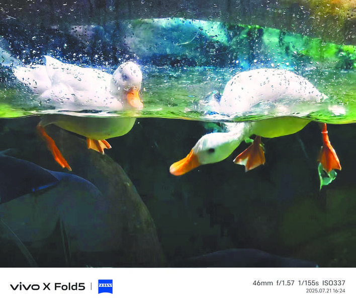 不朽情缘游戏网站“摄影大咖”教您|star467|用手机拍大