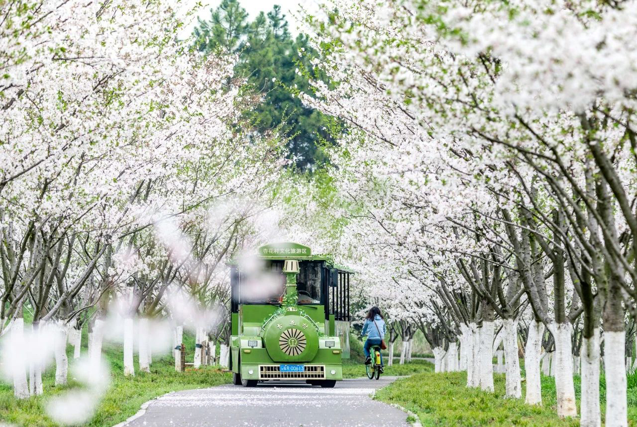 支持文旅产业 (1)