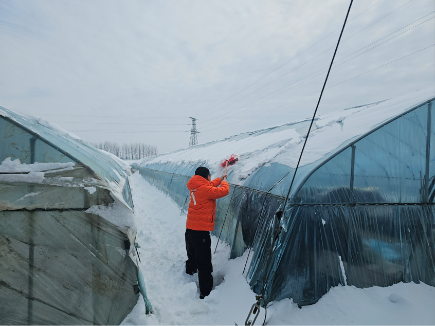 2026-01-21 08:48:31.242000