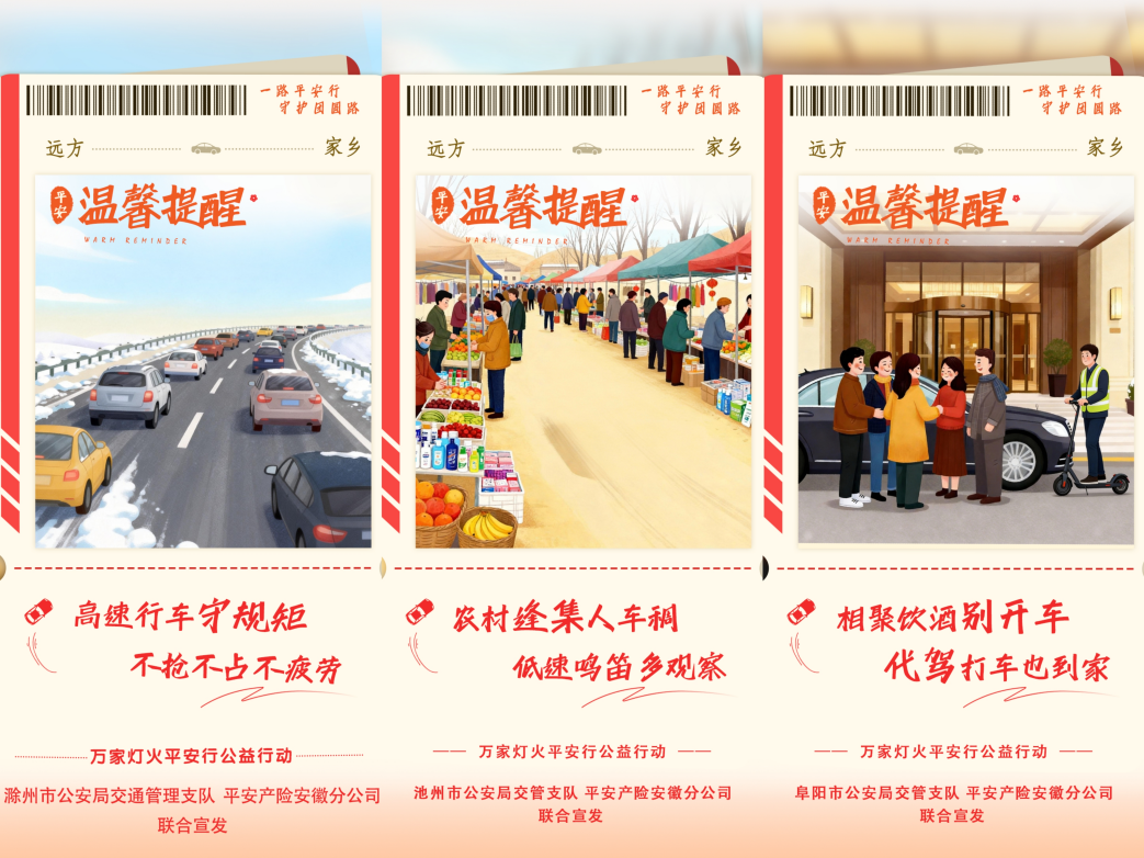 万家灯火平安行平安产险安徽分公司发起春节风险减量公益行动(图6)