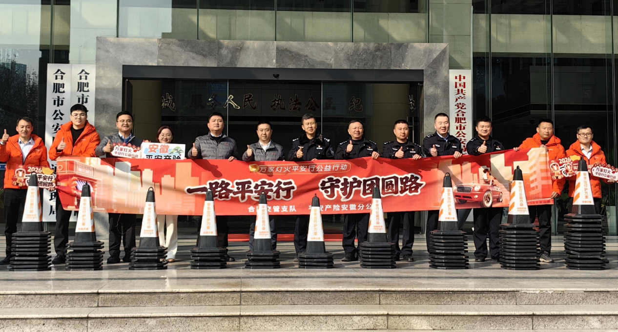 万家灯火平安行平安产险安徽分公司发起春节风险减量公益行动(图2)