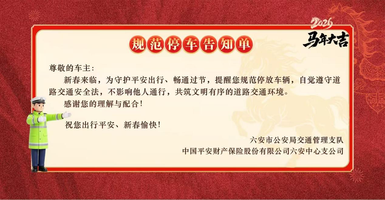 万家灯火平安行平安产险安徽分公司发起春节风险减量公益行动(图5)