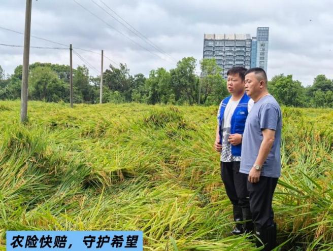 农险快赔,守护希望