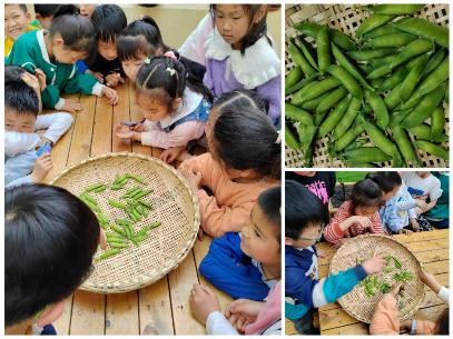 C:\Users\123\Documents\Tencent Files\756614862\FileRecv\MobileFile\Collage_20230425_125439.jpg