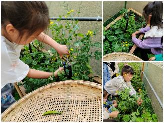 C:\Users\123\Documents\Tencent Files\756614862\FileRecv\MobileFile\Collage_20230425_125803.jpg