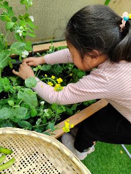 C:\Users\123\Documents\Tencent Files\756614862\FileRecv\MobileFile\IMG_20230414_160545.jpg