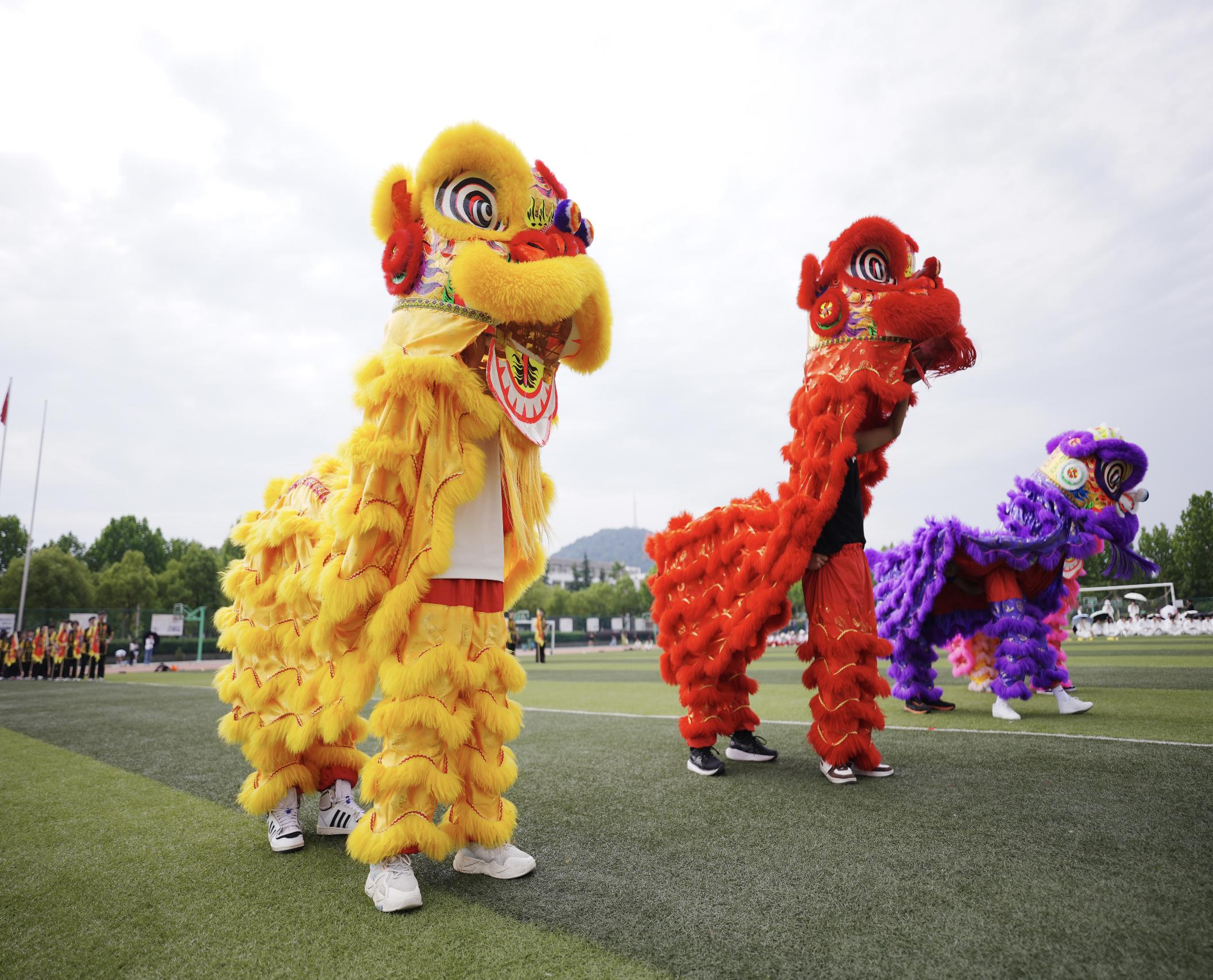 323851862522eb4235e9be021707cb1c