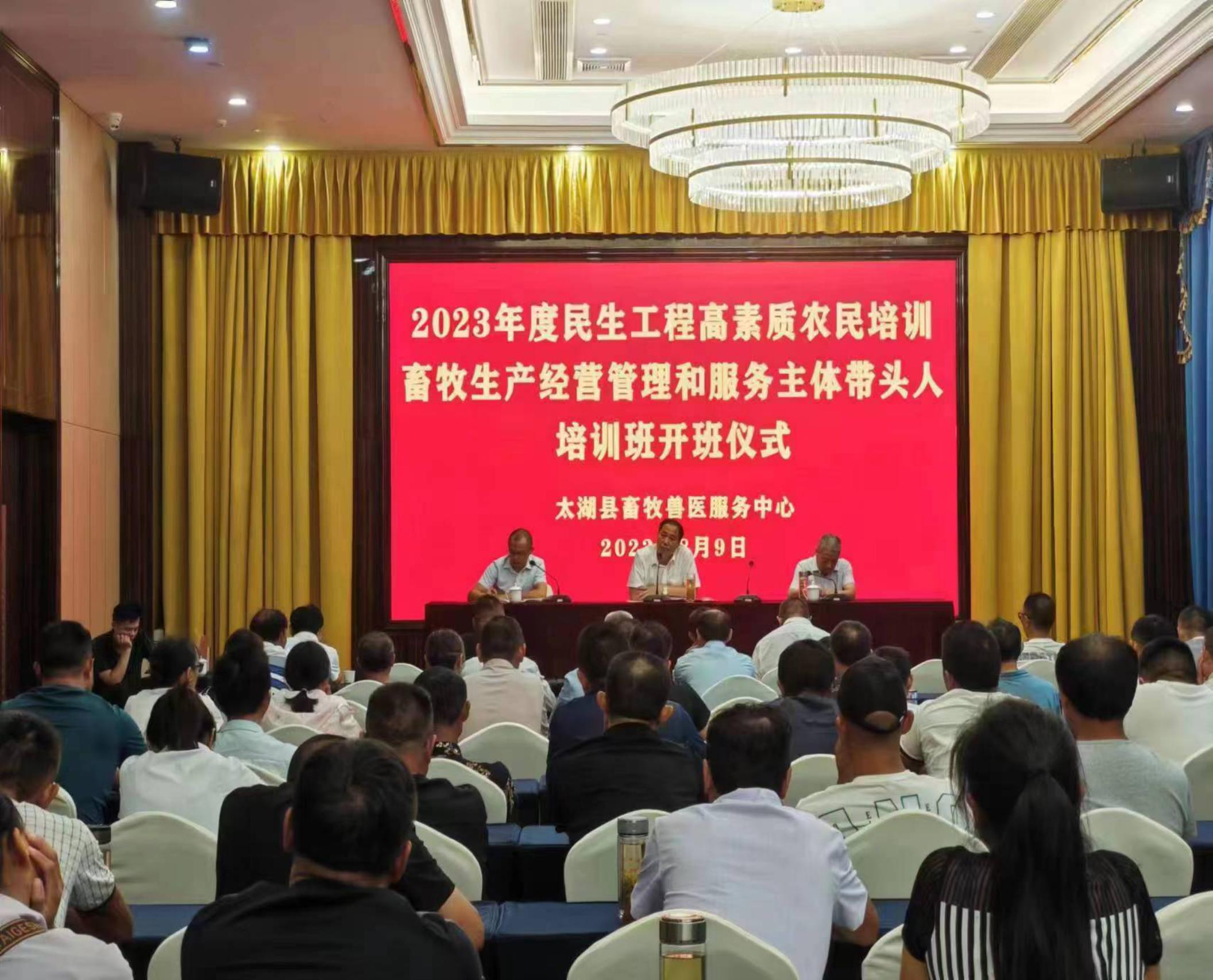 d7afde4cd06630ae039ae27081aca85