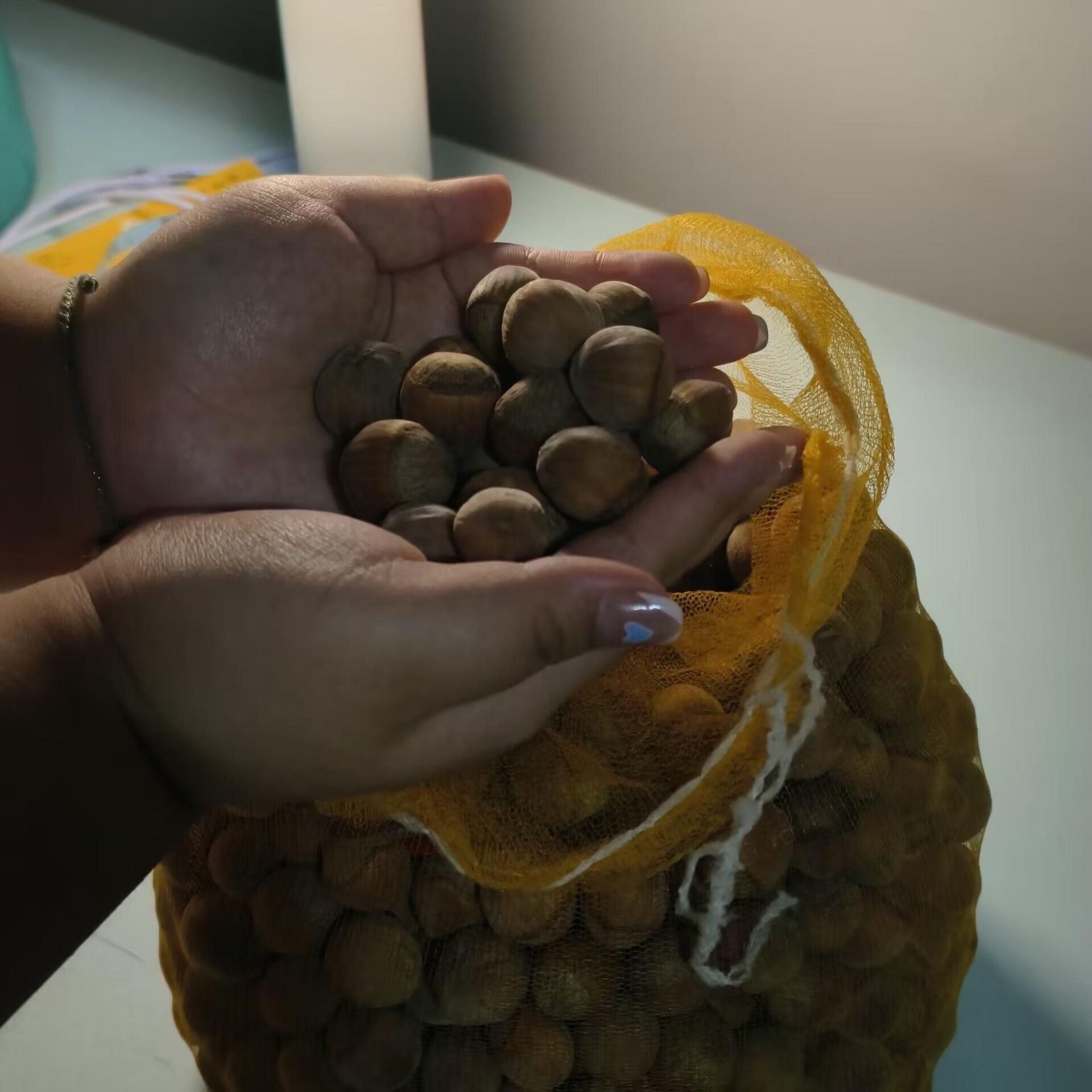 吉林受访者提供4