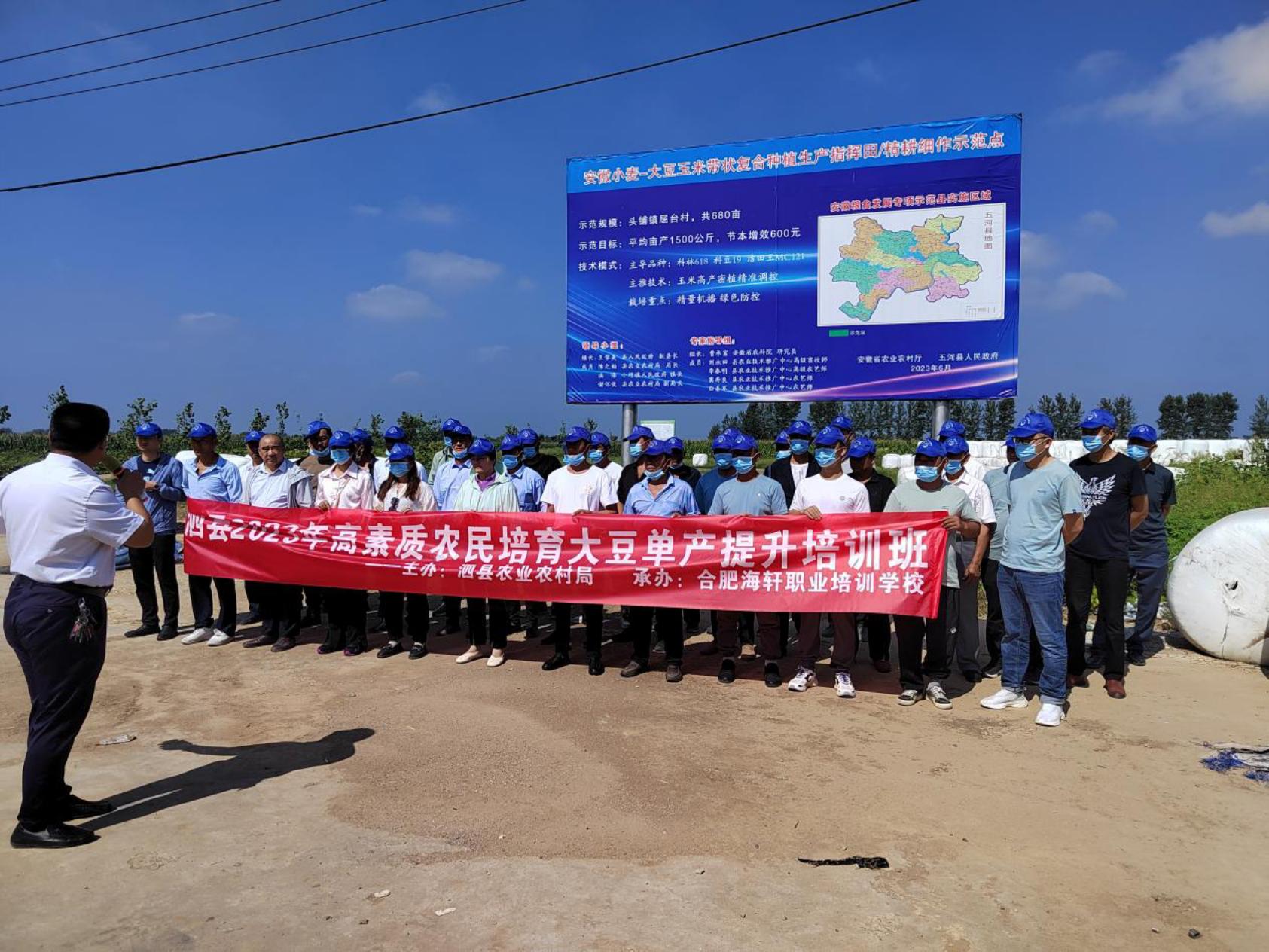 ad2be976a56323699e0e1cf7c24fc0f