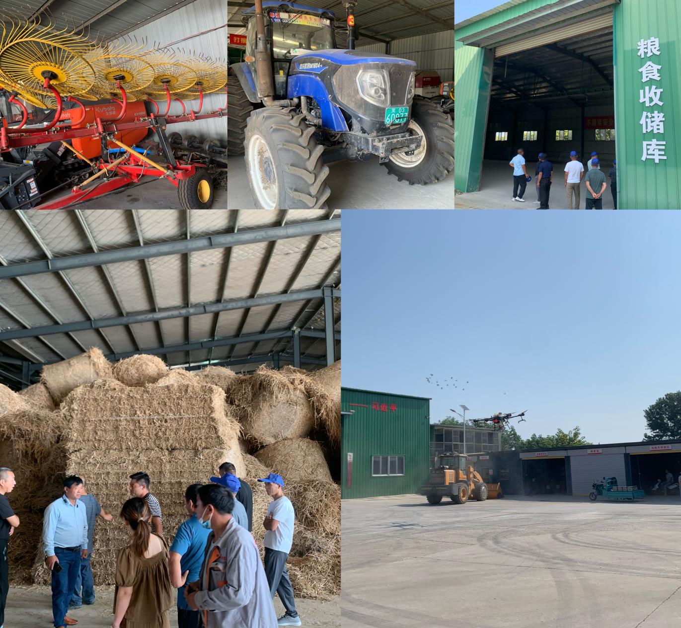 020541aadc94bf174c29bb427384879