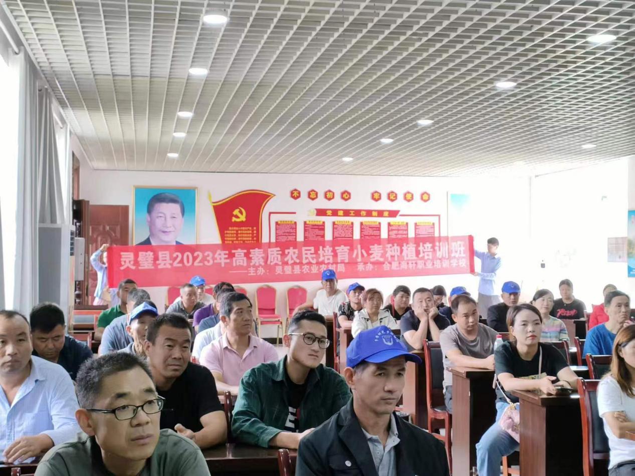 a3e786526315dfaecb385ccbf5cc811