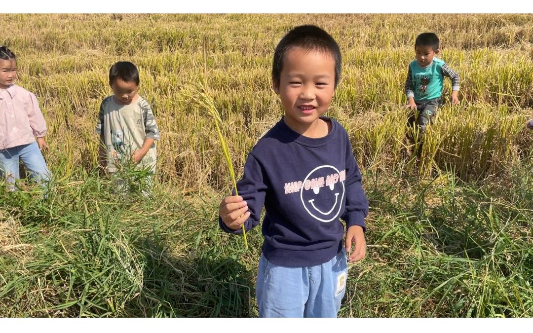 94a4590c34b62db8ce81b8e8e0a105f