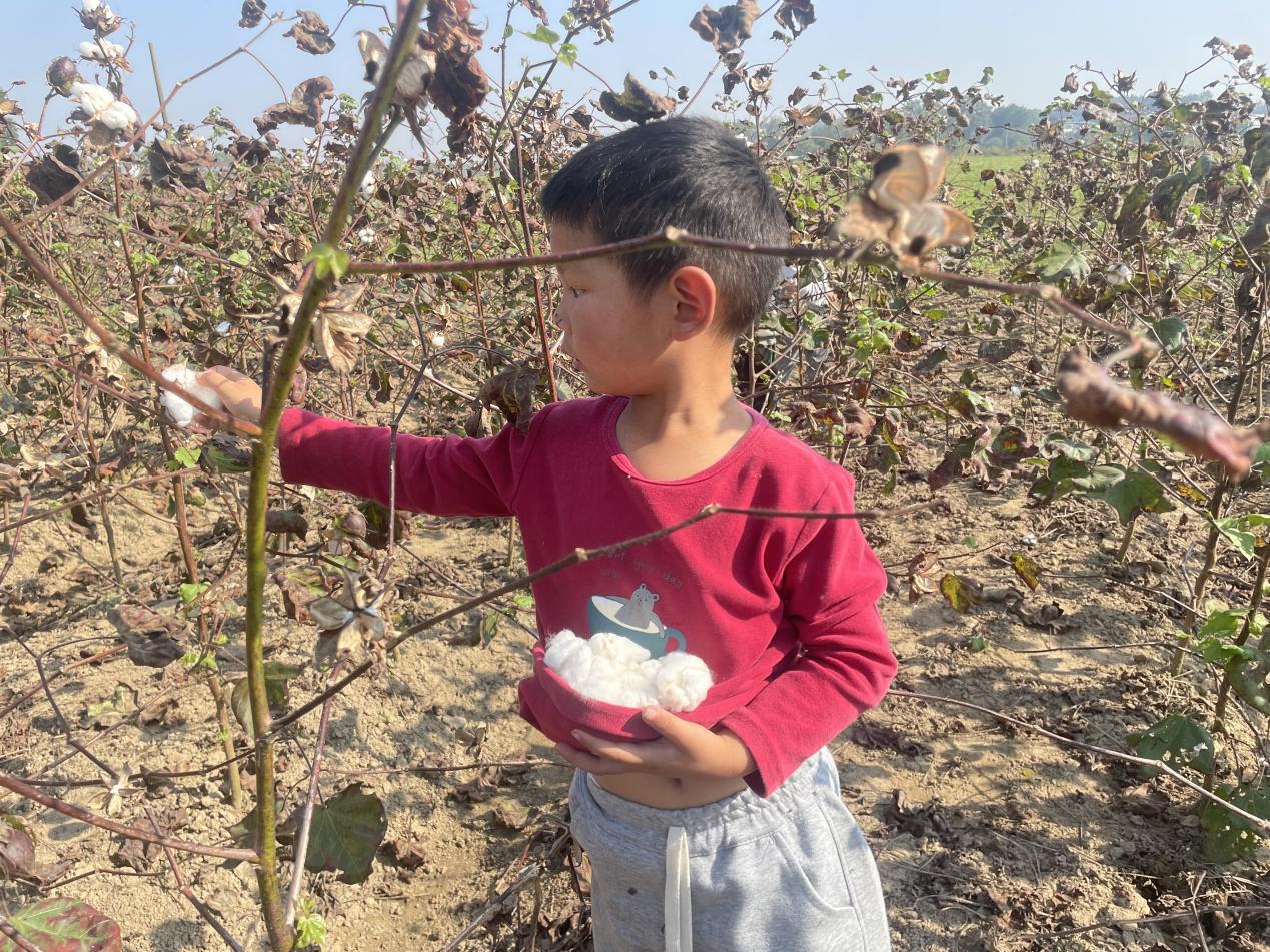 1cf93ec6928148174de55f5bed51c9b