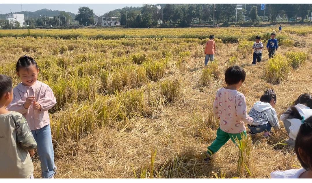 94a1064b6fcb547800ac8247550a952