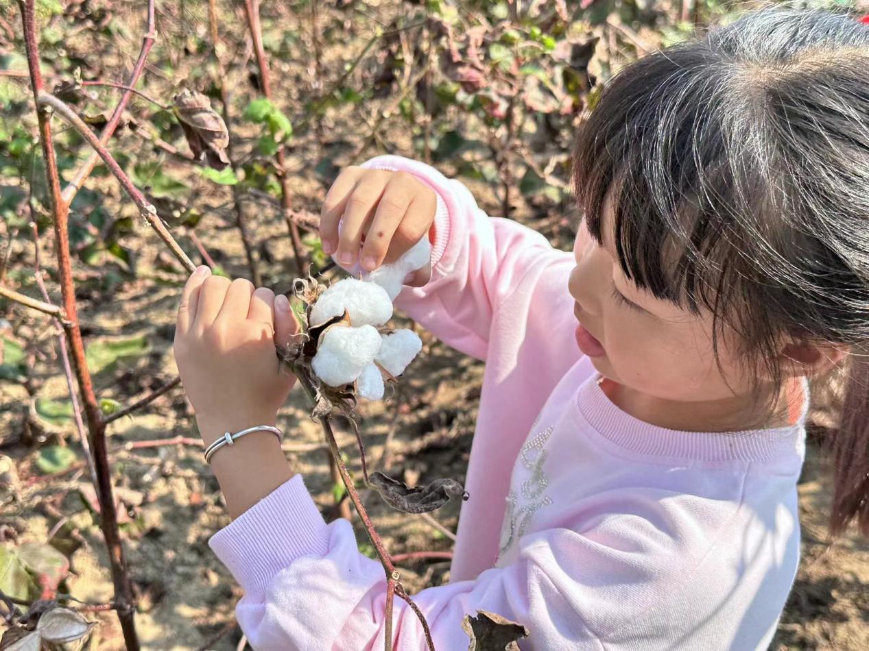 fff5769610773fc4321625f3166e170