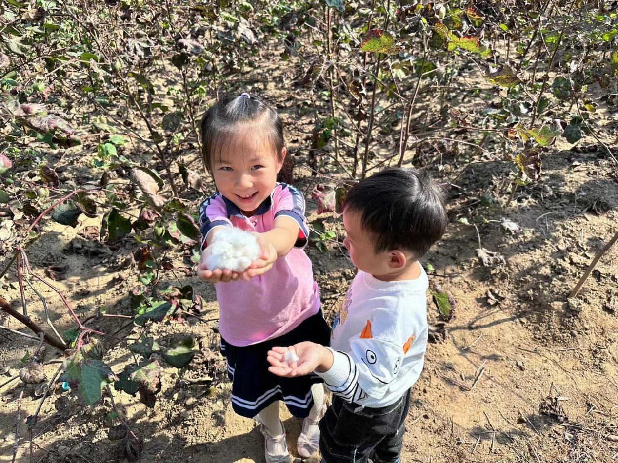 245da3a8c1d7e243309ac434426229e