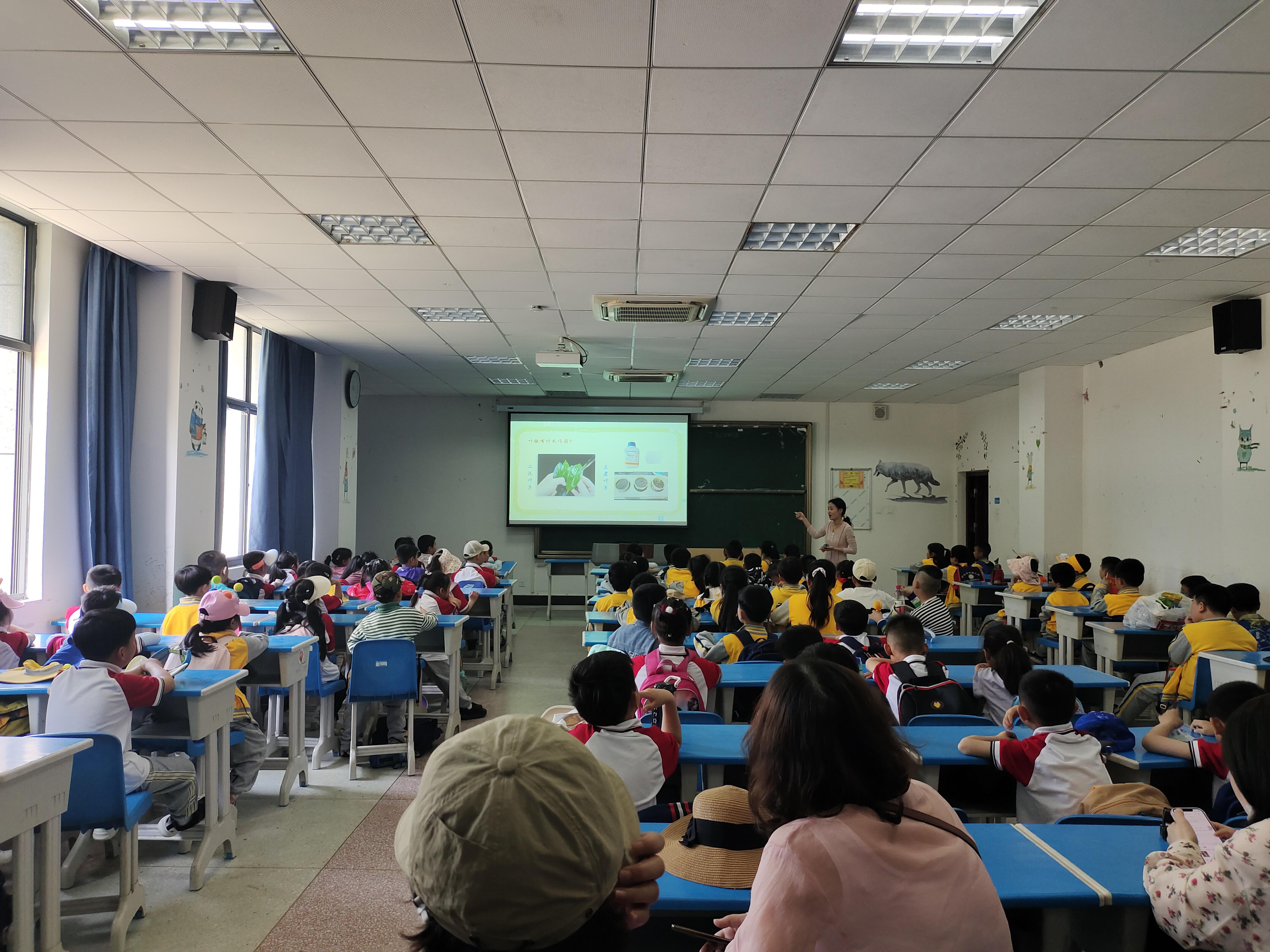 华中路二小叶脉书签<span class=