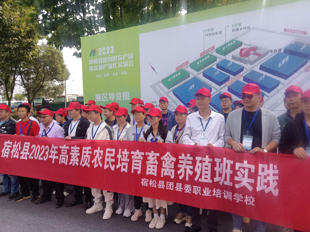 2c75fcd84d39f2344076c07ab9a0dd1