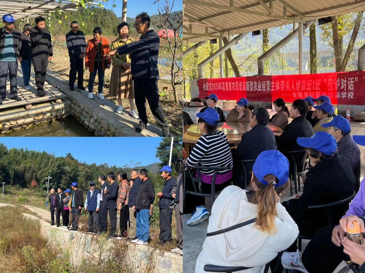 997e99827a22d3d4a21aa6bc966aeb8