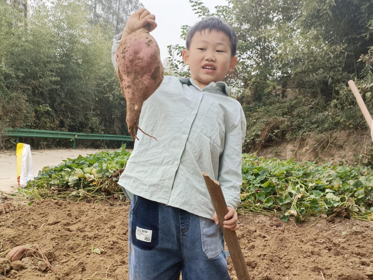 54c71f101a490c1300efd6b2573cd6f