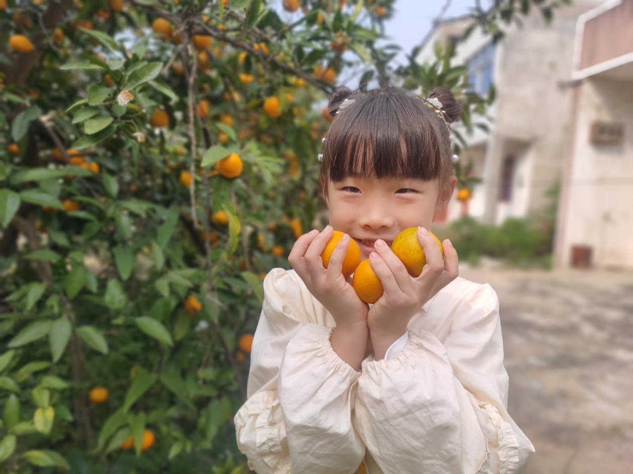 023b8be4d8541c52bb33f0fc5e39064