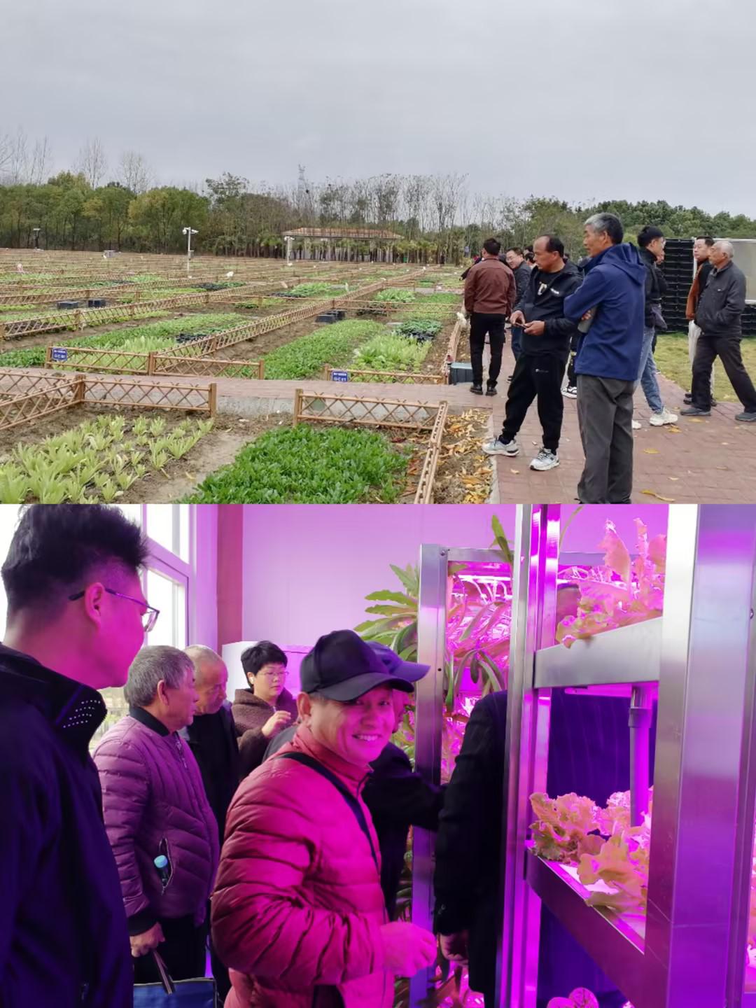 b2c175a6b4b9389dae324634aa247fad