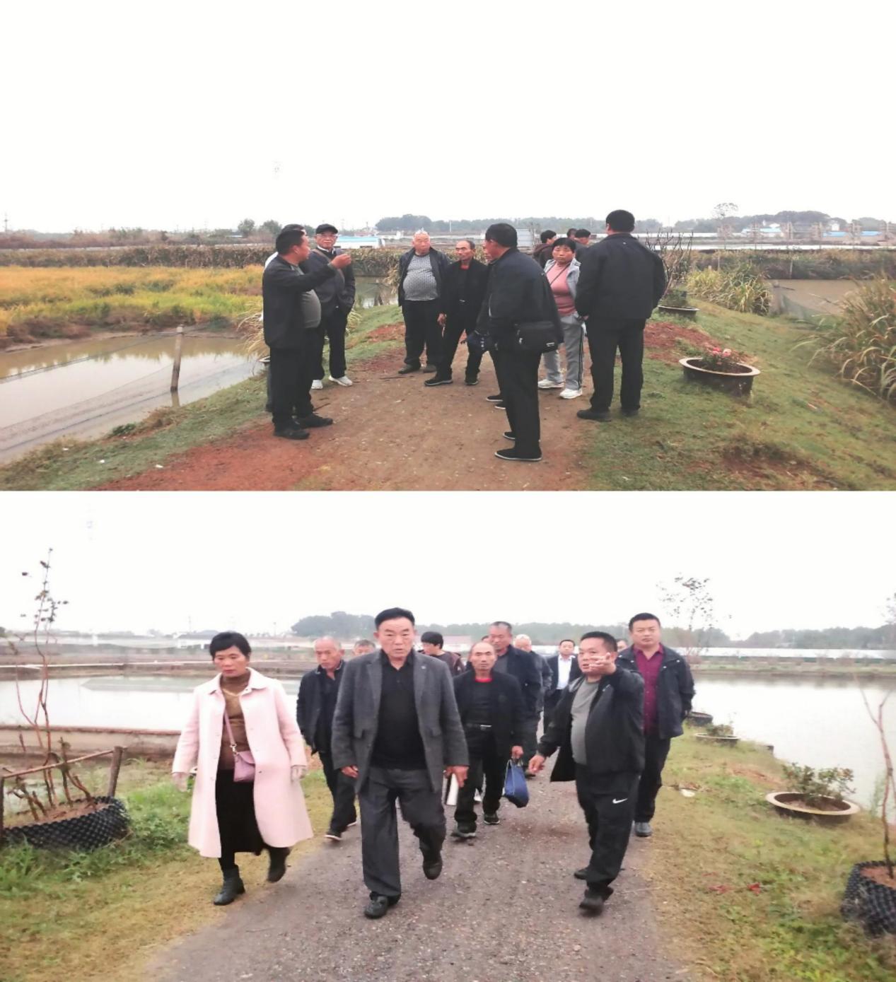 d3d53da8e39ebbd43c77e7bdef733e7b