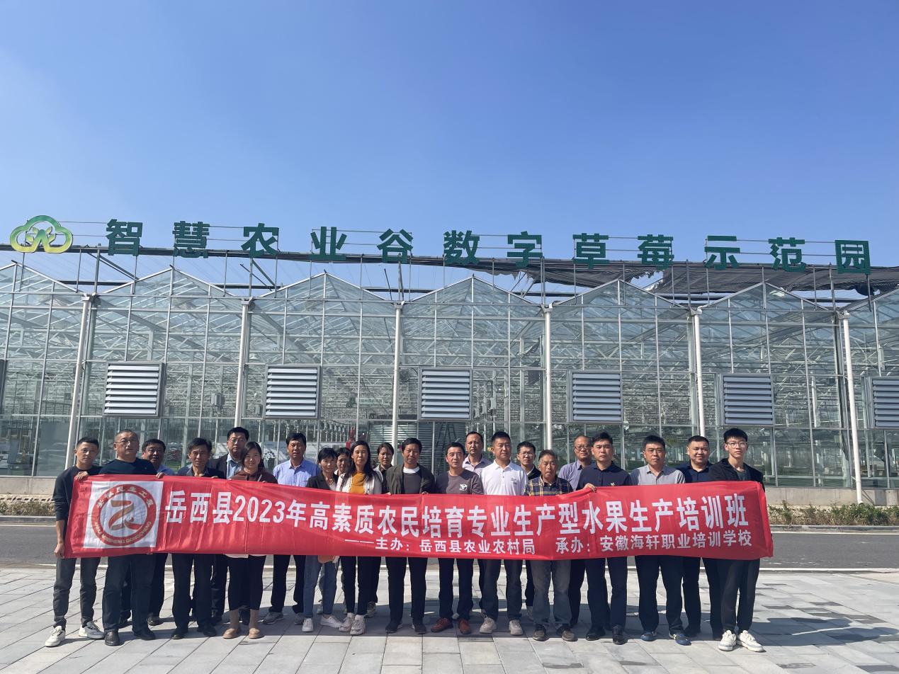 e6e01d88-8813-4efa-866f-74e140d83ed0