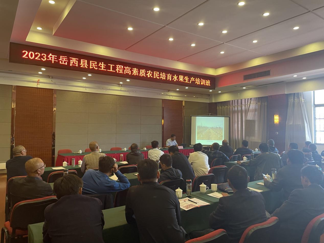 d4548b42-cbc7-49e3-a184-fb35a079677c