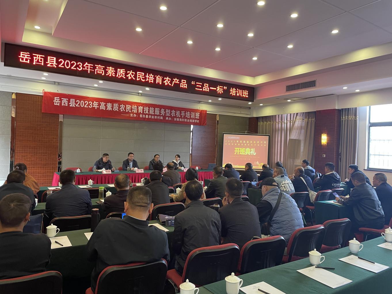 297defa3-1d9e-4e29-a871-778013b27947