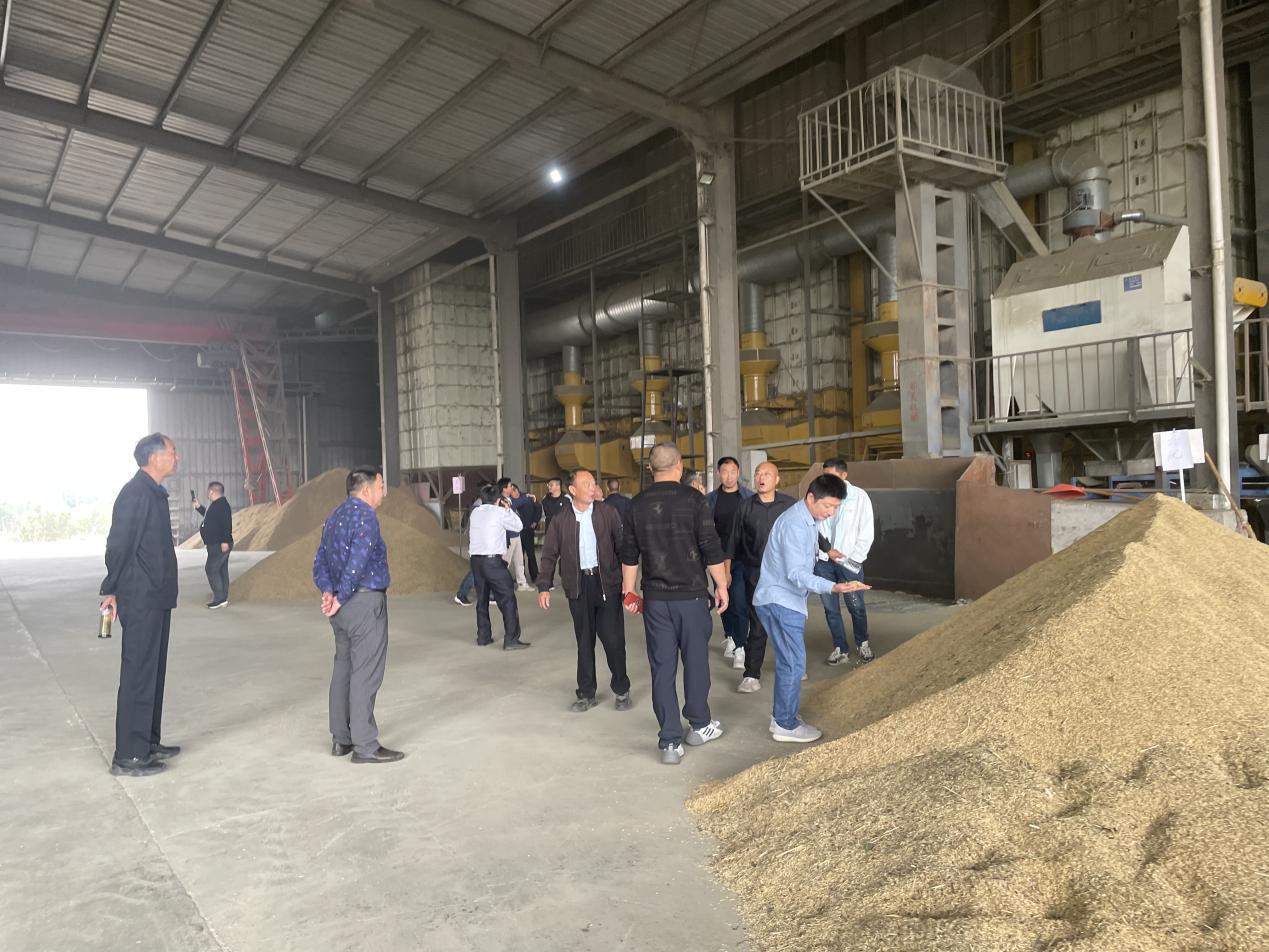 229e2a38-95eb-4926-bfe0-7d0dd7e17599