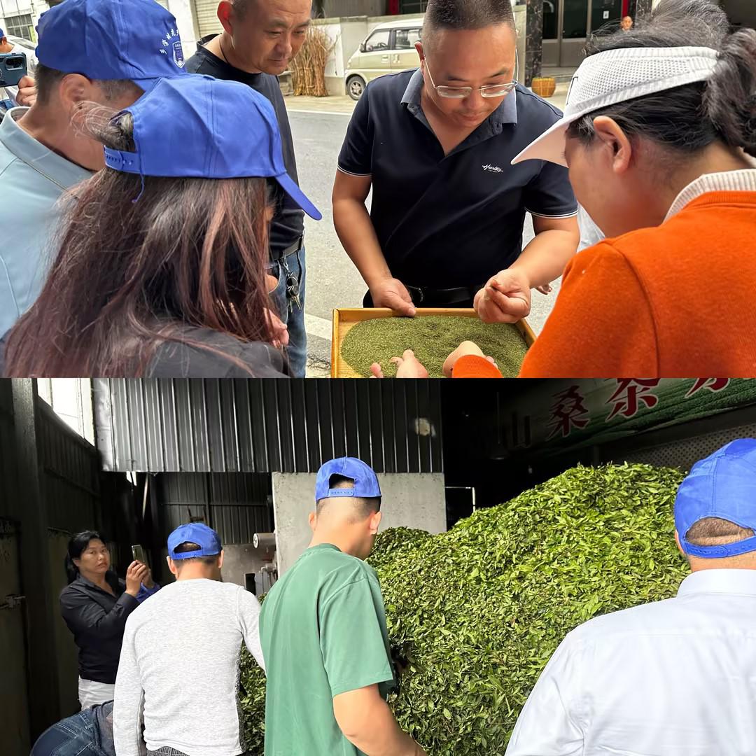 5636fa86-35aa-4126-8f06-9e17d12a1645