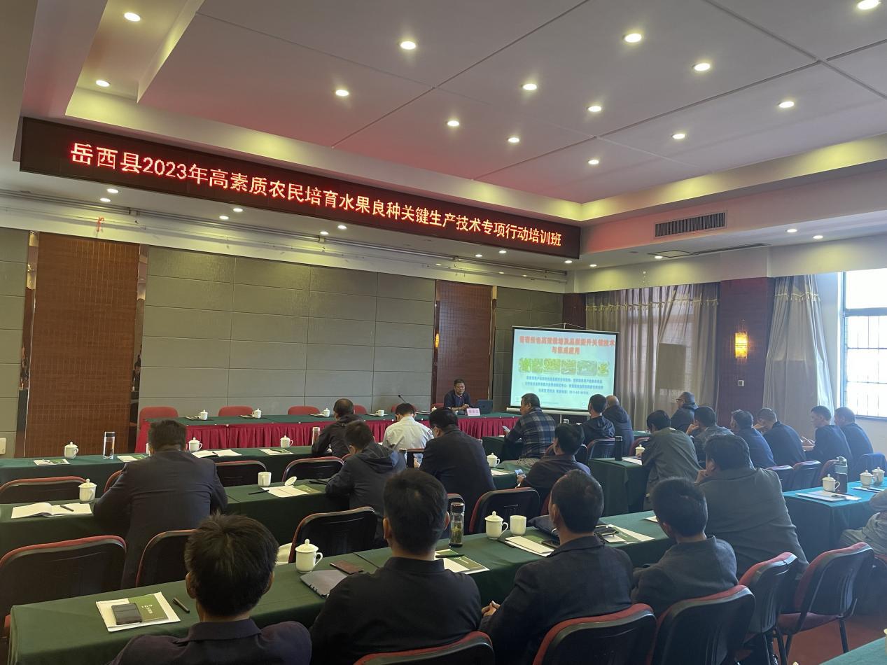 5b69b0fb-7581-4d54-bd5a-277a4f93b8cd