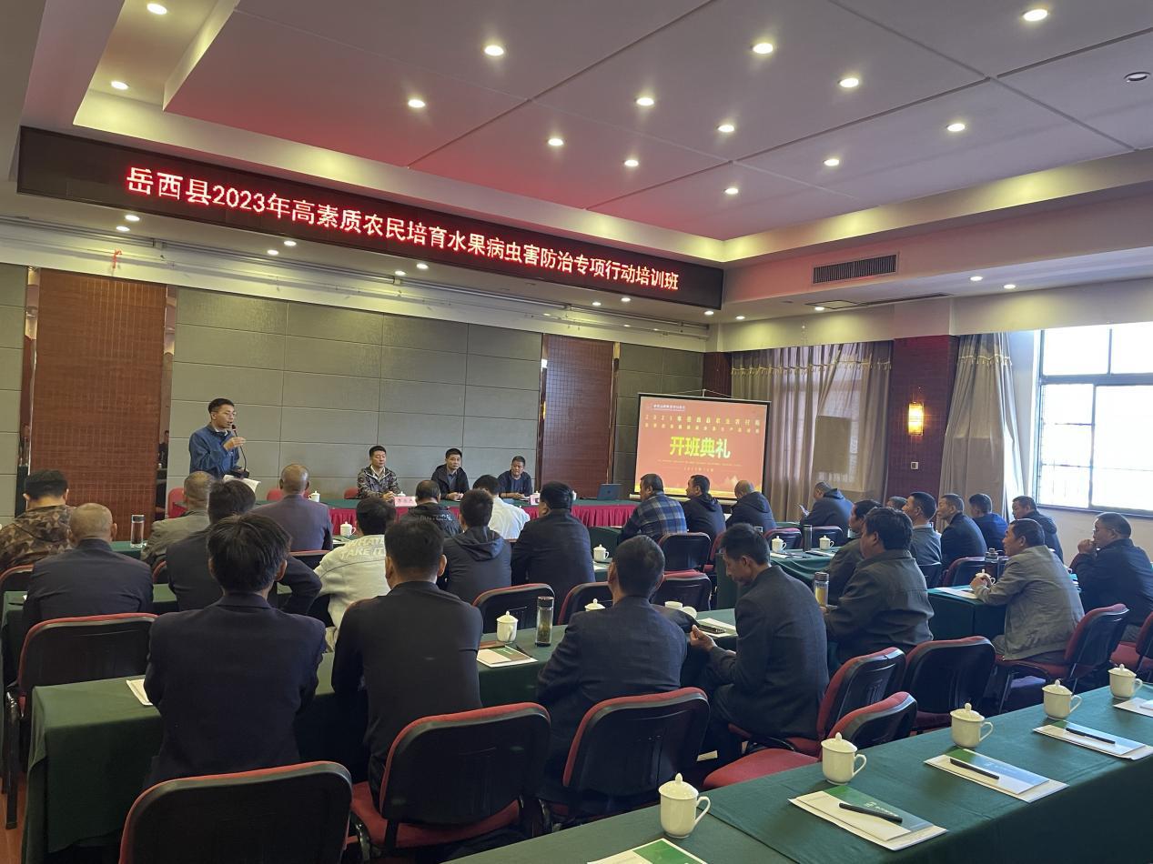 97c14d11-ef27-48ad-816d-6b847e0ff2e0