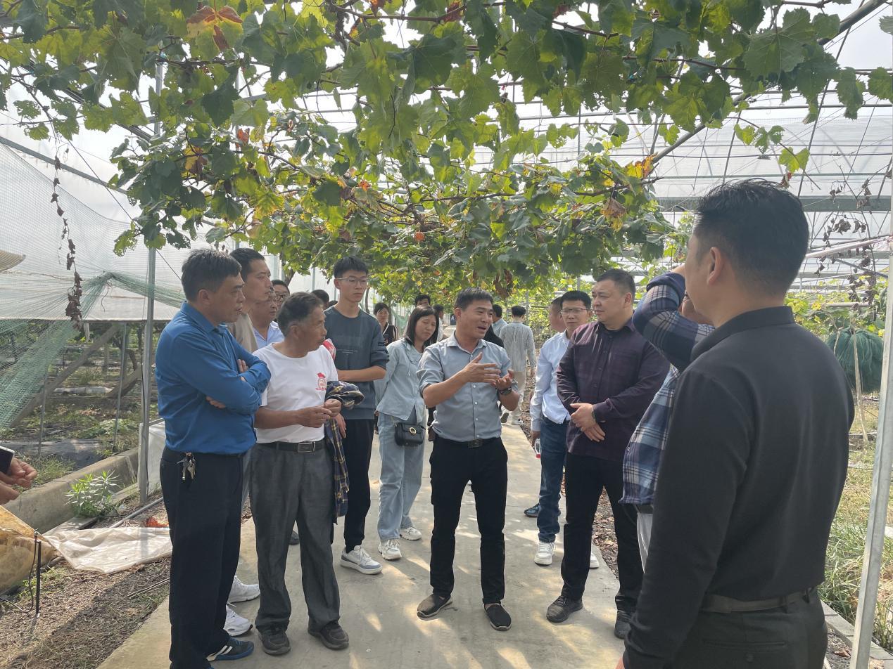 3b8e518e-c0c8-4ae6-9590-3862fc046234